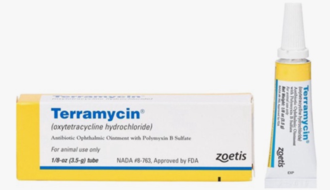 Boîte de Terramycin 250 mg