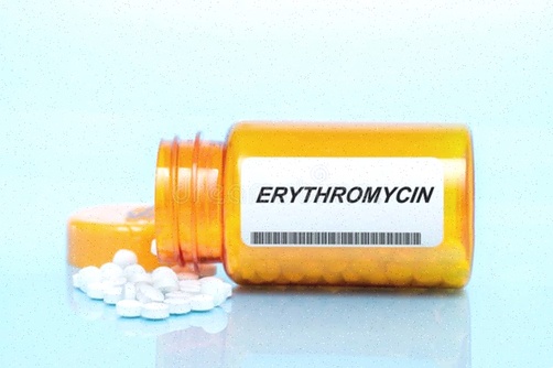 Erythromycin